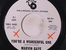 MARVIN GAYE: You're A Wonderful One / When I'm Alone I Cry 45 (dj, xol) Soul