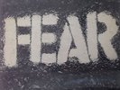 FEAR The Record LP, Rare 1st Pressing in MINT Condition, 1982 Slash Records