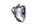 White Pepper [Vinyl] by Ween