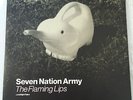 The Flaming Lips 