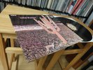 Indian Summer “Same“ RCA Neon NE 3 orig. 1. Pressing Mint 1971 Rare LP