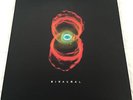 PEARL JAM Binaural VINYL Double LP 12” Record Official US Pressing Epic E2 63665