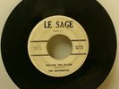 The Masterettes Follow The Leader Never Ever 45 Le Sage AB715 Rare Doo Wop
