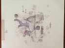 Frightened Rabbit Midnight Organ Fight Vinyl Record LP 1st Pressing