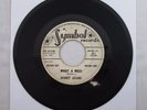 BOBBY ADAMS WHAT A MESS WLP PROMO DJ 45 RARE NORTHERN SOUL POPCORN Symbol 911