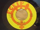 FALLEN ANGELS bad woman ECEIP 01258  GARAGE stunning MINT played once