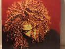 JANET JACKSON - JANET THE VELVET ROPE 2x12