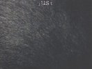 FAUST - just us