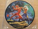 iron maiden run to the hills  1981 uk emi label vinyl 7 picture disc emip 5263