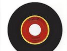 OHIO GARAGE INSTRUMENTAL ROCKER- RHYTHM REBELS- 