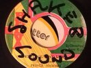 PRINCE HAMMER - Ten Thousand Lion. Rare JA 45'. Belva Original Roots.