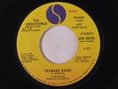 UNDERTONES: Teenage Kicks / Mono 45 (dj) rare Punk/New Wave