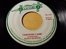 Mighty Diamonds -Tamarind Farm /Killer  Roots Stepper REGGAE 45 on HOT ROD Label