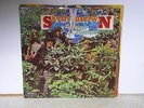vintage 1969 SAVOY BROWN LPs  from england  [ a step further ] & [ raw sienna ]