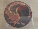 MOTORHEAD Snake Bite Love Picture Disc LP Mint Condition Rare