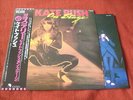 KATE BUSH 