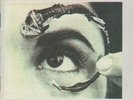 Mr. Bungle - Disco Volante (Vinyl LP) (180 gm Vinyl) New