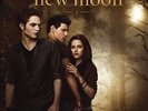 New Moon-Bis(s) Zur Mittagsstunde-Twilight Saga - OST/VARIOUS [2x LP]