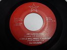 Obscure Boston teen garage 45 EP 2nd Cousins Am i losing you on Chak LISTEN