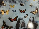 Tim Hart And Maddy Prior(Vinyl LP)Folk Songs Of Olde England Vol 2-CREST 010-M/M