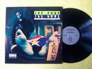 ICE CUBE LP Death Certificate PRIORITY original NICE COPY