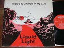 Private Press MODERN SOUL/REGGAE LP ? Liquid Light There's A Change In My Life