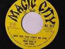 MAD DOG & PUPS: Why Did You Leave Me Girl / Instro 45 rare Soul