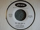 Titus Turner Do You Dig It / His Funeral My Trial Josie 1012 Promo M- R&B Soul