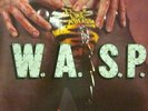 W.A.S.P(7