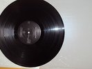 The May Queens LP Same / Title Vinyl 2000 God Machine Sophia Killing Joke Nada