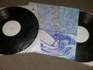 HRVRD The Inevitable And I vinyl test press screened cover from the bird's cage