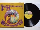 JIMI HENDRIX EXPERIENCE - ARE YOU EXPERIENCED - 1ST PRESS VINYL LP RS 6261 (VG+)
