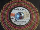 Roger Nichols Trio -Don't Go Breaking My Heart- WLP Pop Psych 45 on A&M - Hear