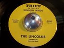 The Lincolns -In The Back Of My Mind- Washington Garage Psych 45 on Tripp - Hear