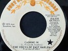 NORTHERN-THE VOICES OF EAST HARLEM-CASHING IN-JUST SUNSHINE PROMO