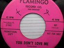 KIM & GRIM You Don't Love Me / Lonely Week-End GARAGE Fuzz GIRL GROUP 45 e1236