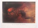 COCTEAU TWINS - Victorialand - Rare 1986 4AD Import LP - NEAR MINT