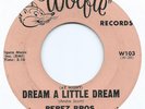 R&B / CHICANO DOO WOP 45 - PEREZ BROS 