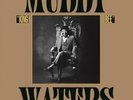 King Bee, Muddy Waters, Vinyl, 8718469533350