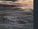 Moonflower (2LP Gatefold sleeve) [Vinyl], 8718469531011, Santana