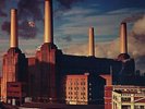 PINK FLOYD : ANIMALS - VINILE COLORATO - NUOVO