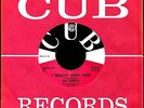 THE STEREOS I REALLY LOVE YOU / PLEASE COME BACK TO ME 1961 NM LOOKS UNPLAYED