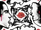 Red Hot Chili Peppers - Bloodsugarsexmagik (2002, Vinyl NEW)