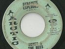 Honey & The Bees 