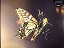 TOBIN, Amon - ISAM - Vinyl (gatefold 2xLP + free MP3 download code)