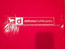 Deftones Vinyl 2 Record set