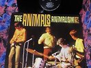 TOPS 1966 MONO ORIG   THE ANIMALS   ANIMALISM Garage ZAPPA R&B BEAT BURDON