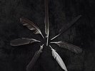Dust And Disquiet - CASPIAN [LP]