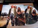 PICTURE DISC-LP-MINT-NEW-10