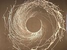 DAWN OF MIDI - Dysnomia - Vinyl (limited clear vinyl 2xLP)